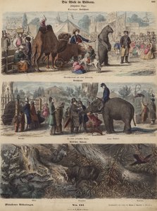 Europe