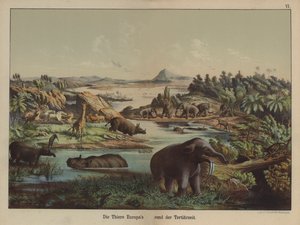 Animaux européens de la période tertiaire - German School