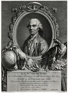 Georges-Louis Leclerc Comte de Buffon - German School