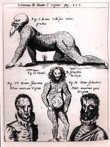Homme velu et homme sauvage, illustration de Physica Curiosa par Gaspar Schott