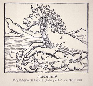 Hippopotame de la 
