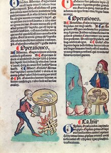 Page illustrée de Hortus Sanitatis, 1491 (gravure sur bois en couleur)