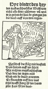 Illustration du conte du héros romantique Wolfdietrich, publiée par Hans Schoensperger à Augsbourg en 1491 (gravure) - German School