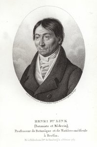 Johann Heinrich Friedrich Link - German School