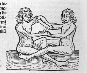 Les Gémeaux - dans Traité de Johannes Angeli De Magnisconnectionibue annorum revolutionibus ac eorum pefectionibus. Augsbourg, Erhard Ratdolt