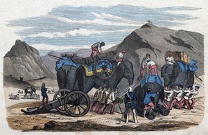 Chargement des éléphants pour le voyage de M. Bock à Dresde. Dans « Wenn Jemand eine Reise thut, so kann er was erzählen », conte allemand de Franz Wiedemann