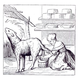 Fabrication de fromages en Suisse, d