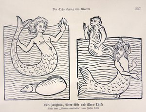Sirène et triton du 