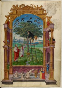 Ms Harley 3469, f.15 Arbre doré avec couronne, la Parabole Autre, du 