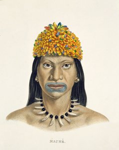 Homme natif de la tribu Mauhe, avec coiffe de petites plumes bleues et oranges, de l