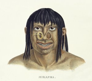 Homme natif de la tribu Miranha, avec décoration nasale, de l