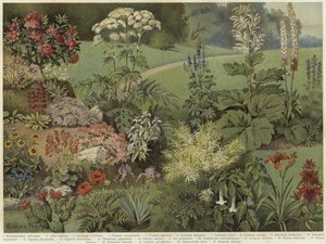 Plantes ornementales