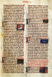 Page de De Natura Rerum sur les oiseaux, par Albertus Magnus - German School