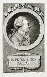 Peter Simon Pallas (1741 – 1811)