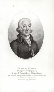 Peter Simon Pallas - German School