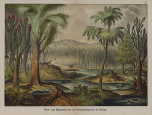 Plantes et animaux de la période carbonifère en Europe
