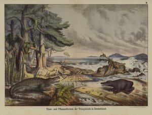 Plantes et animaux de la période triasique en Allemagne - German School