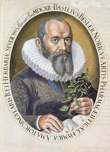 Portrait de Basil Besler (1561-1629) en 1612, du Hortus Eystettensis, pub. 1613