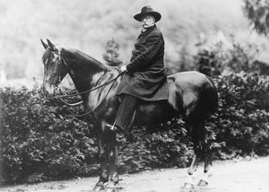 Prince Bismarck à Friedrichsruh, 1890