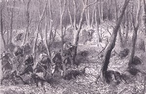 Escarmouche dans les bois à l