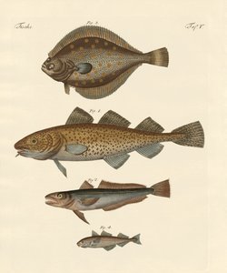 Stockfish