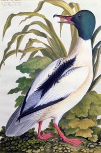 Étude d