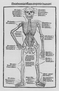 Le Livre de Cirurgia par Hieronymus Brunschwig