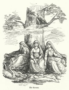 Les Nornes, êtres féminins de la mythologie nordique (gravure)