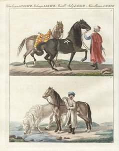 Le cheval avec ses différentes sortes
