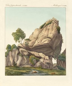 Le supposé Reuter fossilisé de Fontainebleau
