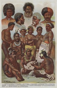 Types de races australiennes - German School