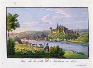 Vue de la ville de Meissen, lieu de naissance de Christian Samuel Hannemann (1755-1843)