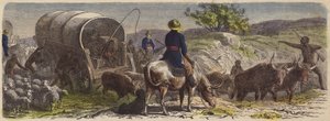 Convoi de chariots en Afrique du Sud
