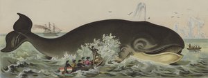 Chasse à la baleine - German School