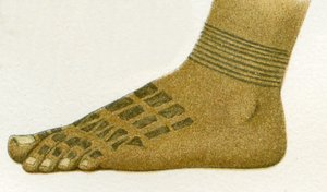 exemple de motifs de tatouage de pied Dayak, Bornéo, 1894