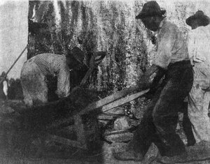 Trois ouvriers. Photographie montrant trois ouvriers afro-américains au travail. (vers 1900)