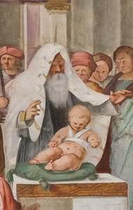 Nef centrale, cinquième travée nord, Présentation au Temple, Gian Francesco Bembo - Gian Francesco Bembo