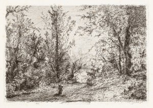 Forêt sur le Lac Majeur