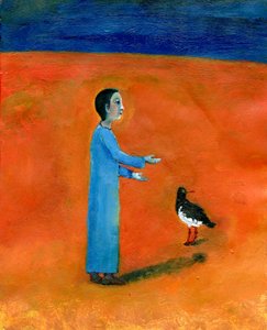 Huîtrier pie, 2005