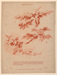 Planche 2 du Livre Ier, Principes du dessin dans le genre du paysage