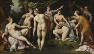 Diana découvre la grossesse de Callisto - Gillis Coignet