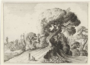 Deux hommes devant un grand arbre