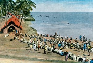 Repas villageois communal, Îles Andaman et Nicobar, Océan Indien, vers 1890