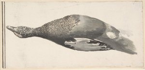 Canard mort, 1685-1755