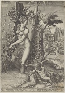 Vénus et la rose
