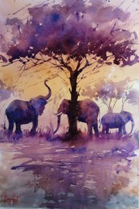 Éléphants d