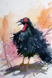 Appel à Black Bird - Giorgio Gosti