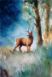 Un cerf dans la forêt brumeuse