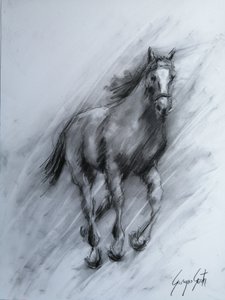 Cheval au charbon de bois dynamique