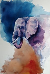 Éléphant : couleurs abstraites